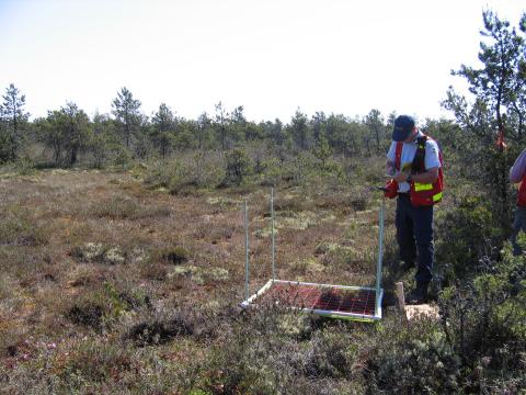 Metro Vancouver staff conducting vegetation monitoring
