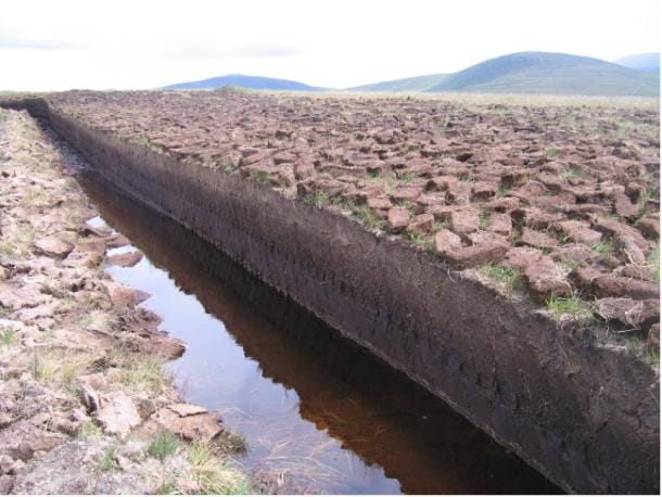 Peat cutting ridge.