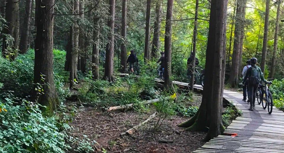 Cyclists on boardwalk in the Delta Nature Reserve