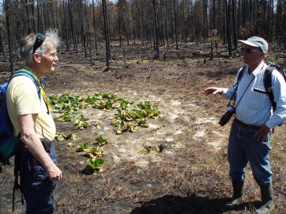 Burns Bog Scientific Advisory Panel field trip