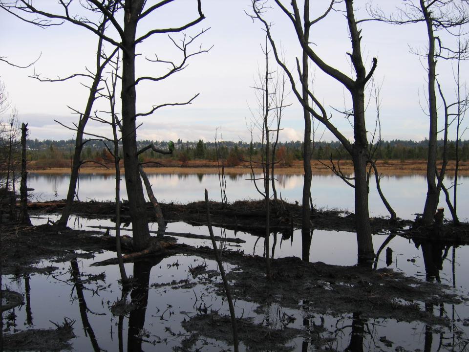 After the 2005 fire