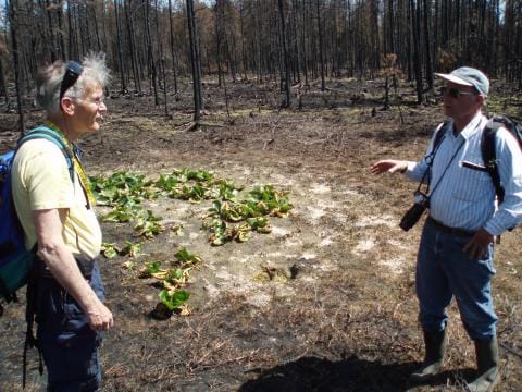 Burns Bog Scientific Advisory Panel field trip