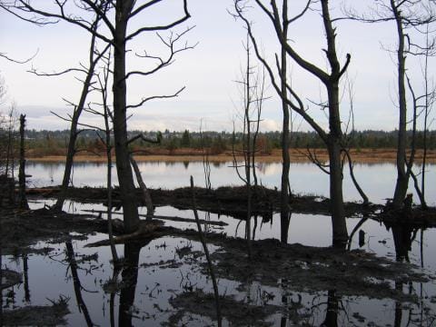 After the 2005 fire